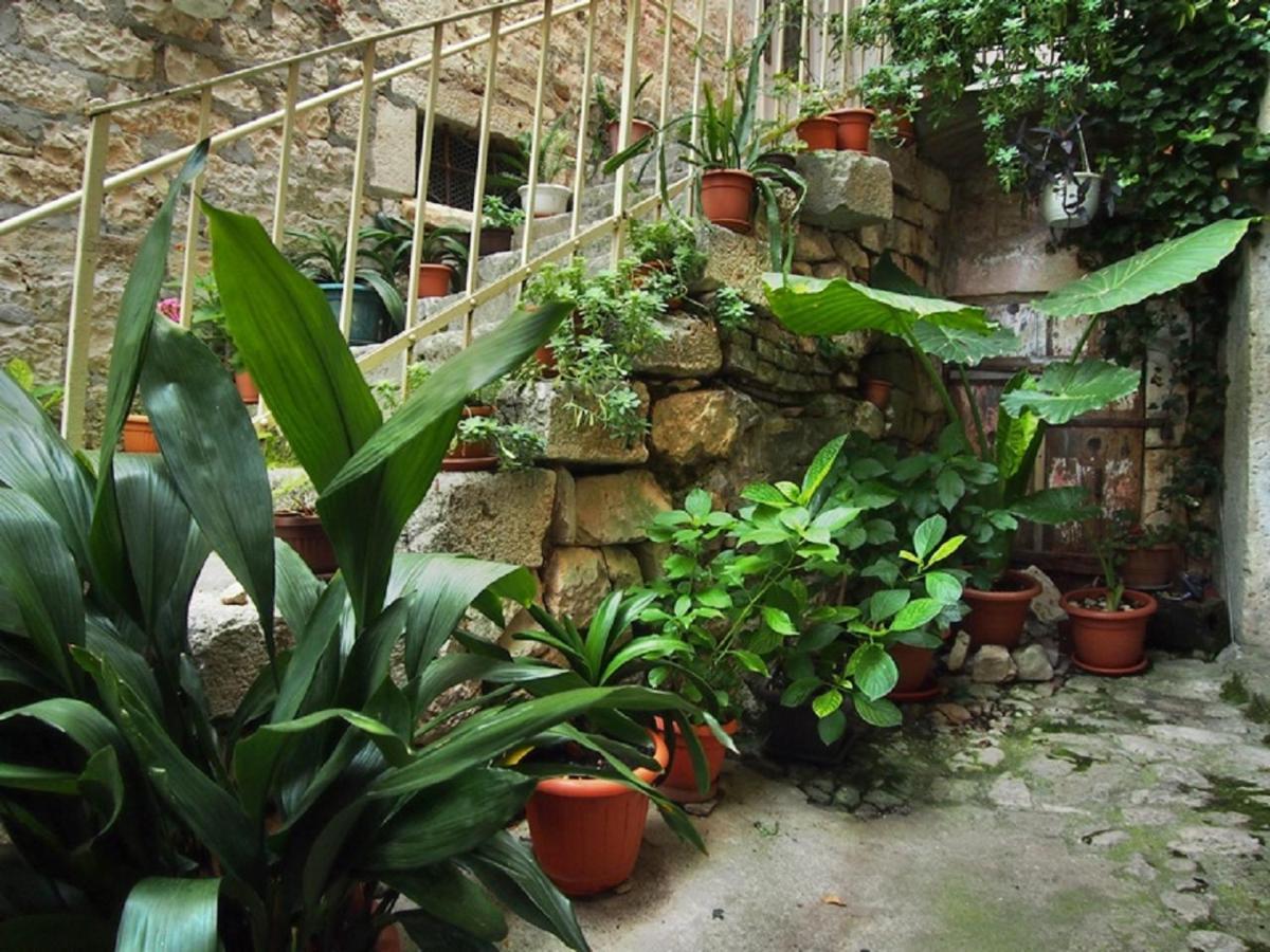 Rooms & Studio Stipcic تروغير المظهر الخارجي الصورة