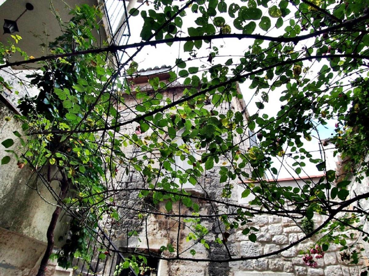 Rooms & Studio Stipcic تروغير المظهر الخارجي الصورة